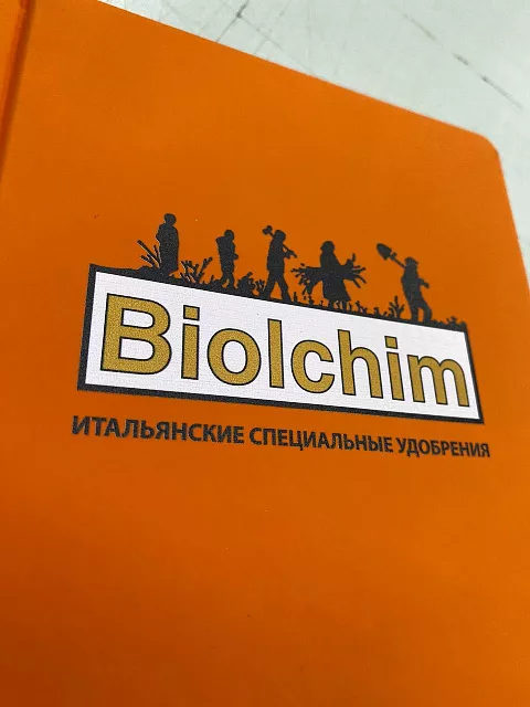 Ежедневник с вашим принтом